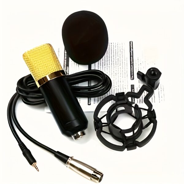 Condenser microphone. Suitable for live game singing. - Image 4